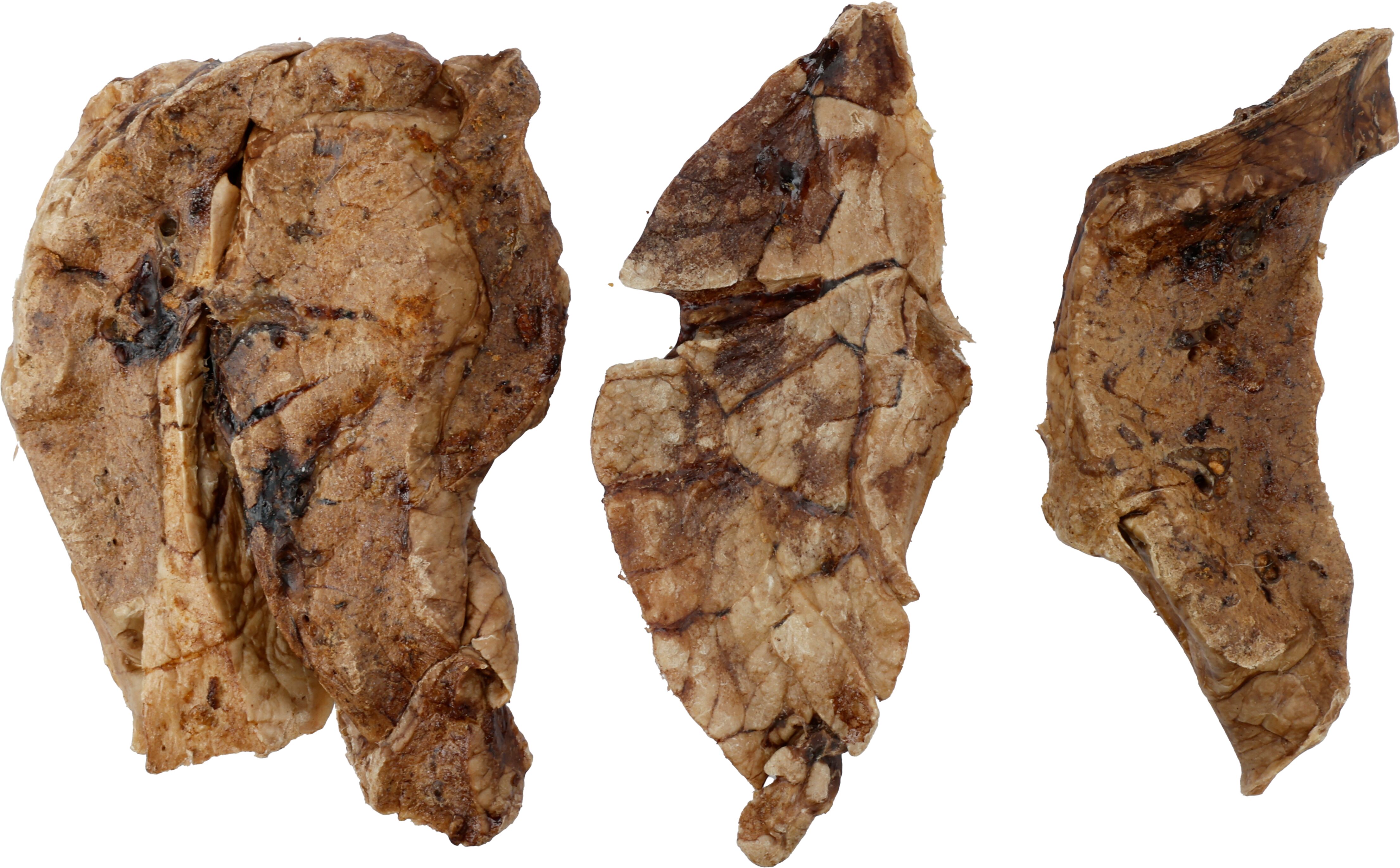 Flamingo Snacks Nature Polmoni di maiale