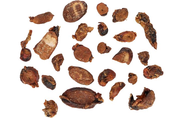 Flamingo Snacks Nature Beef testicles