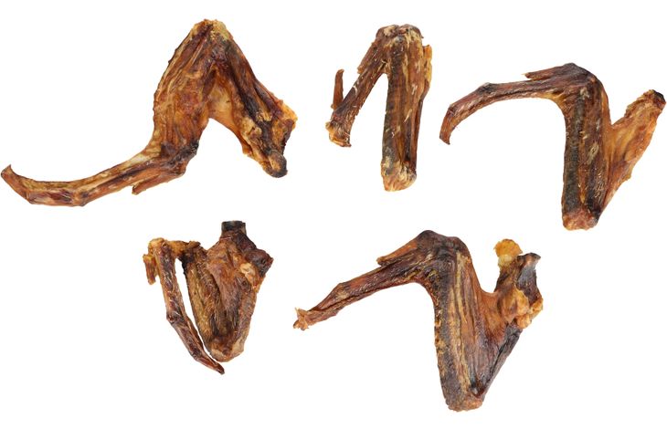 Flamingo Friandises Nature Aile de canard