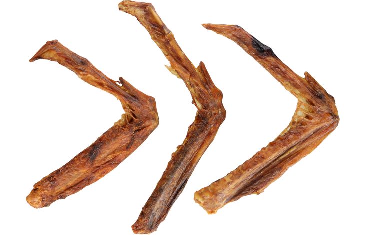 Flamingo Friandises Nature Aile d'oie