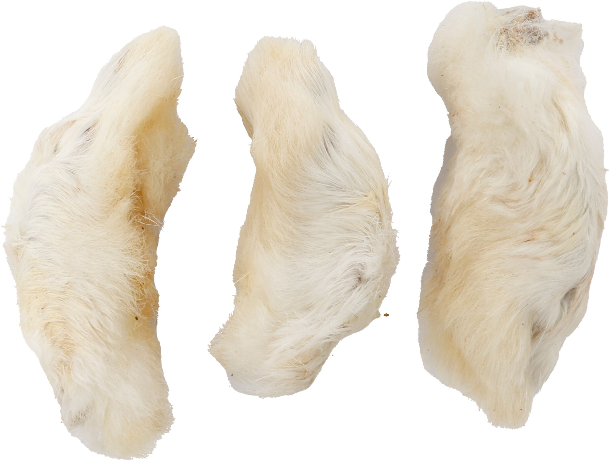 Flamingo Snacks Nature Rabbit feet