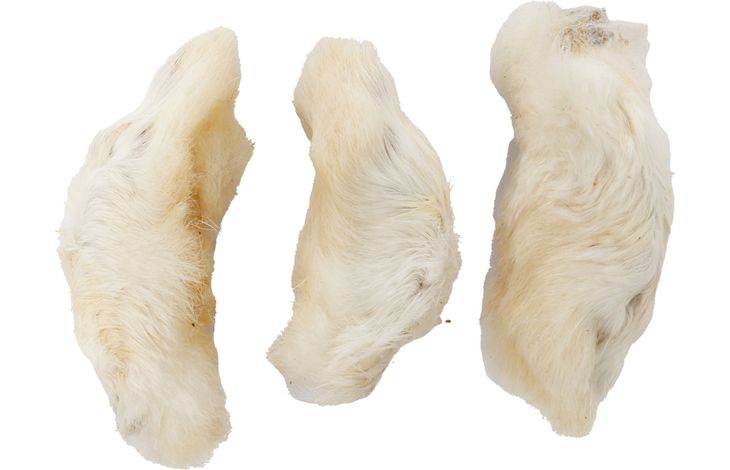 Flamingo Snacks Nature Rabbit feet