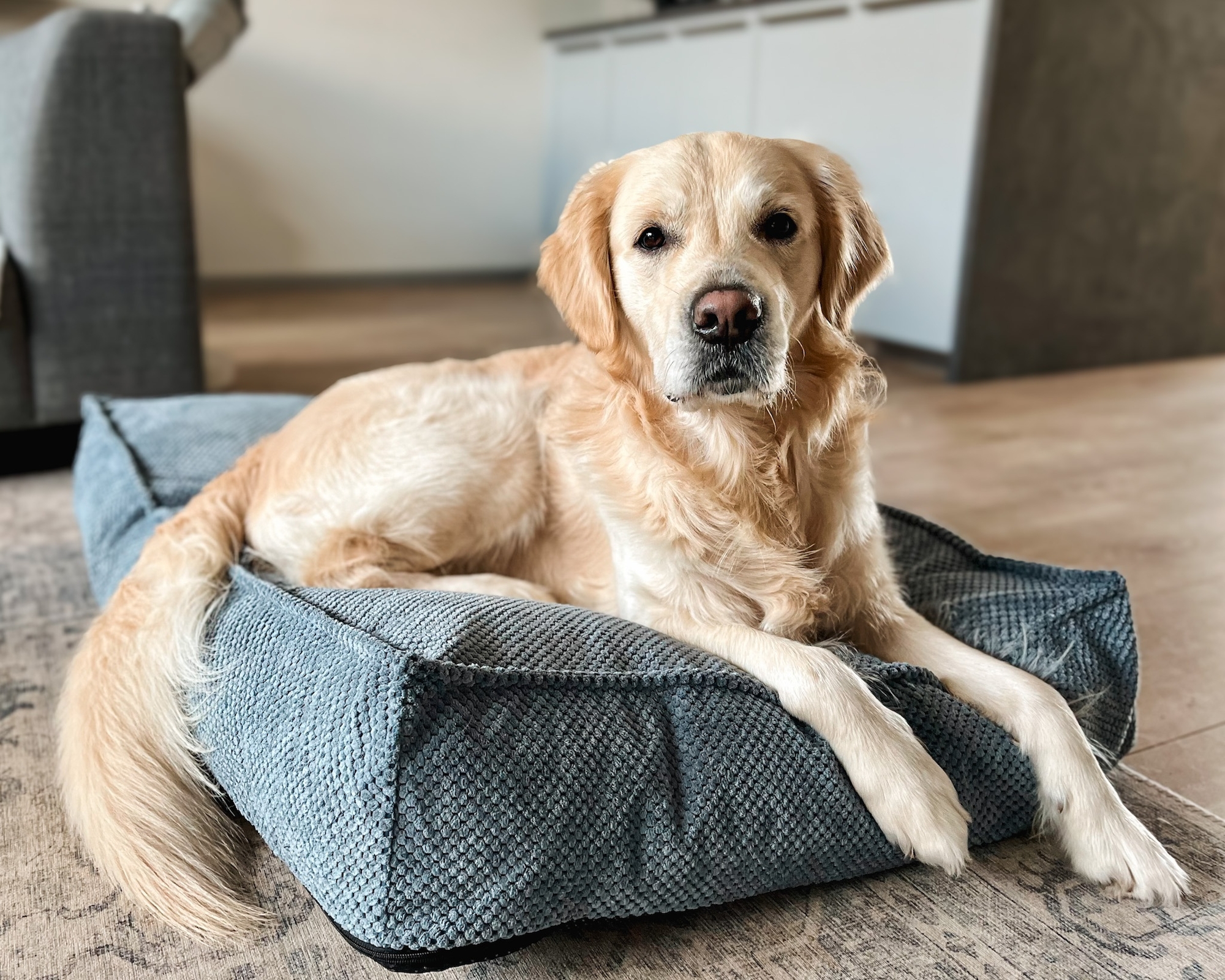 Flamingo Kussen Reno Rechthoekig Lichtblauw