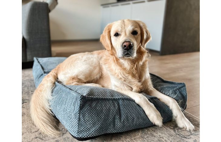 Flamingo Kussen Reno Rechthoekig Lichtblauw