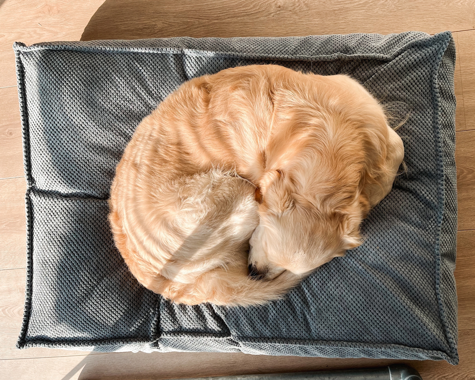 Flamingo Kussen Reno Rechthoekig Lichtblauw