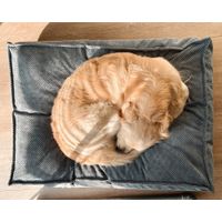 Flamingo Kussen Reno Rechthoekig Lichtblauw