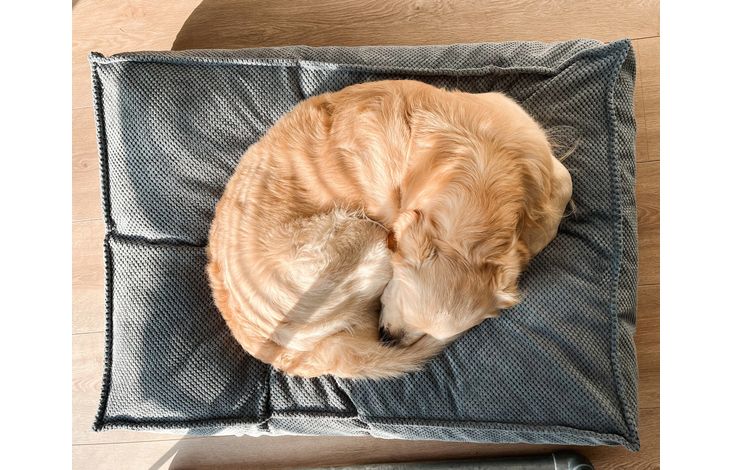 Flamingo Kussen Reno Rechthoekig Lichtblauw