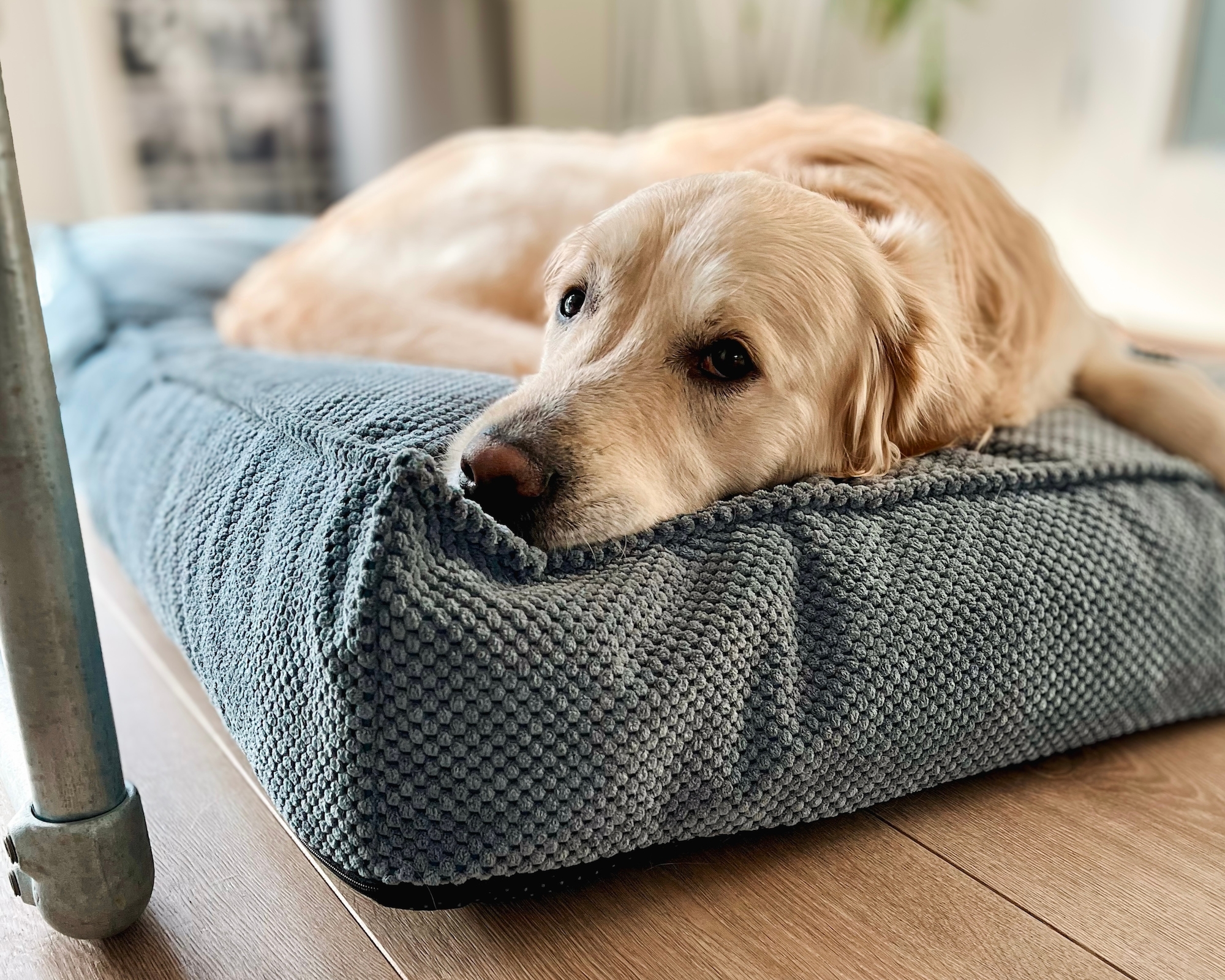 Flamingo Kussen Reno Rechthoekig Lichtblauw