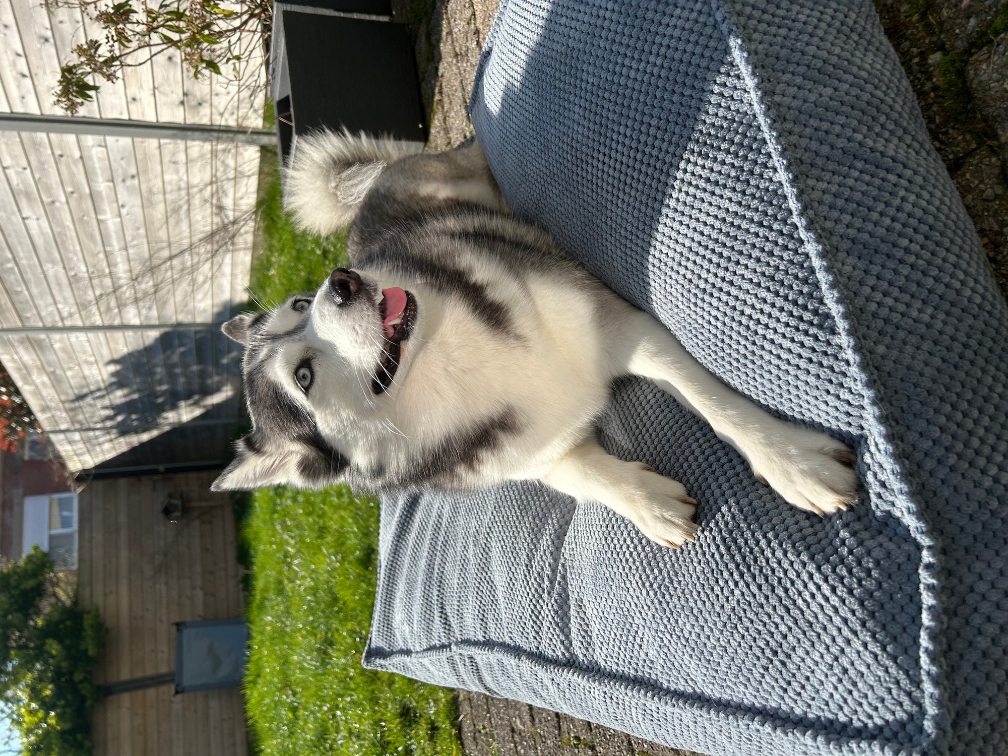 Flamingo Kussen Reno Rechthoekig Lichtblauw