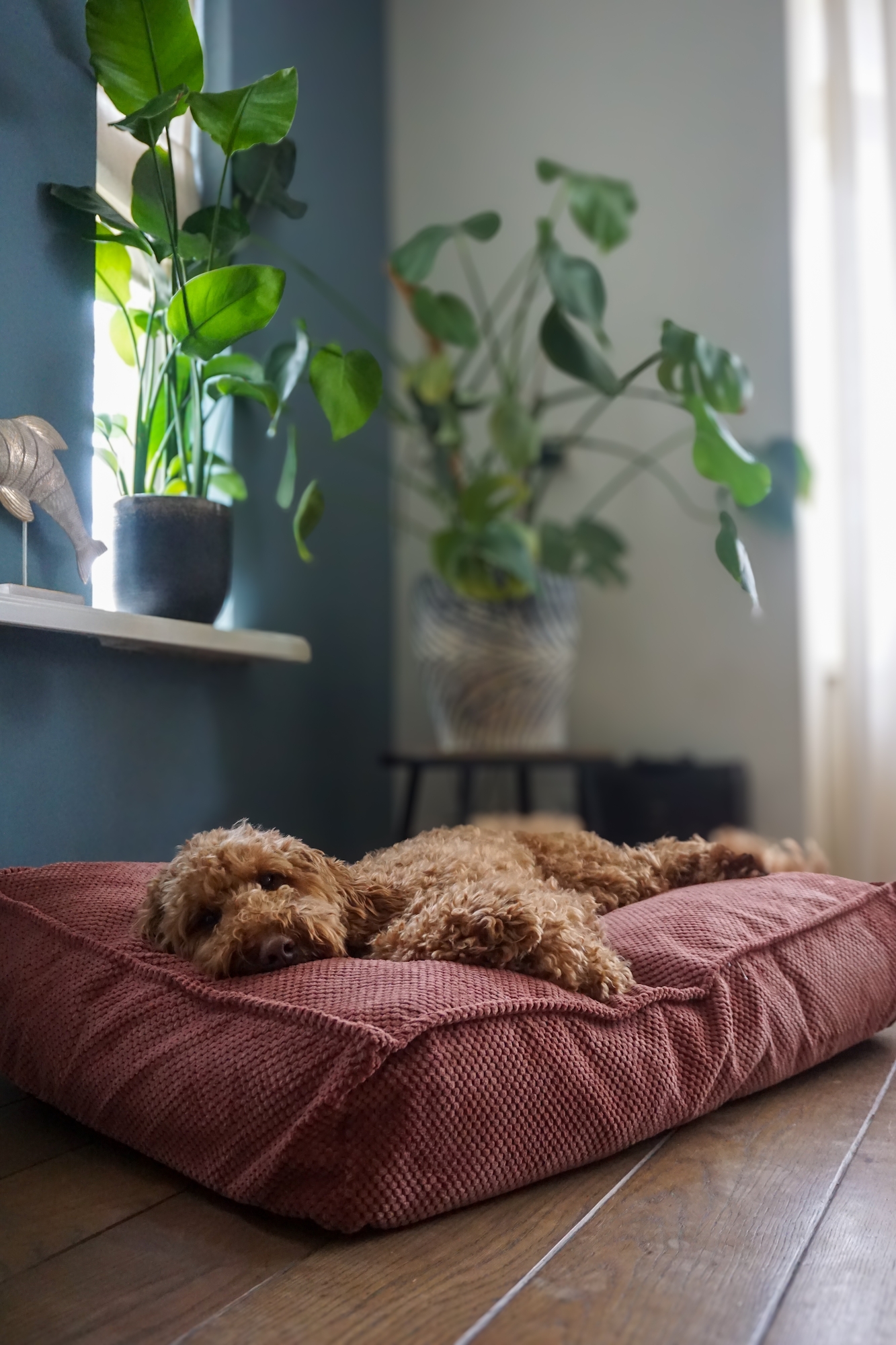 Flamingo Kussen Reno Rechthoekig Zalmroze