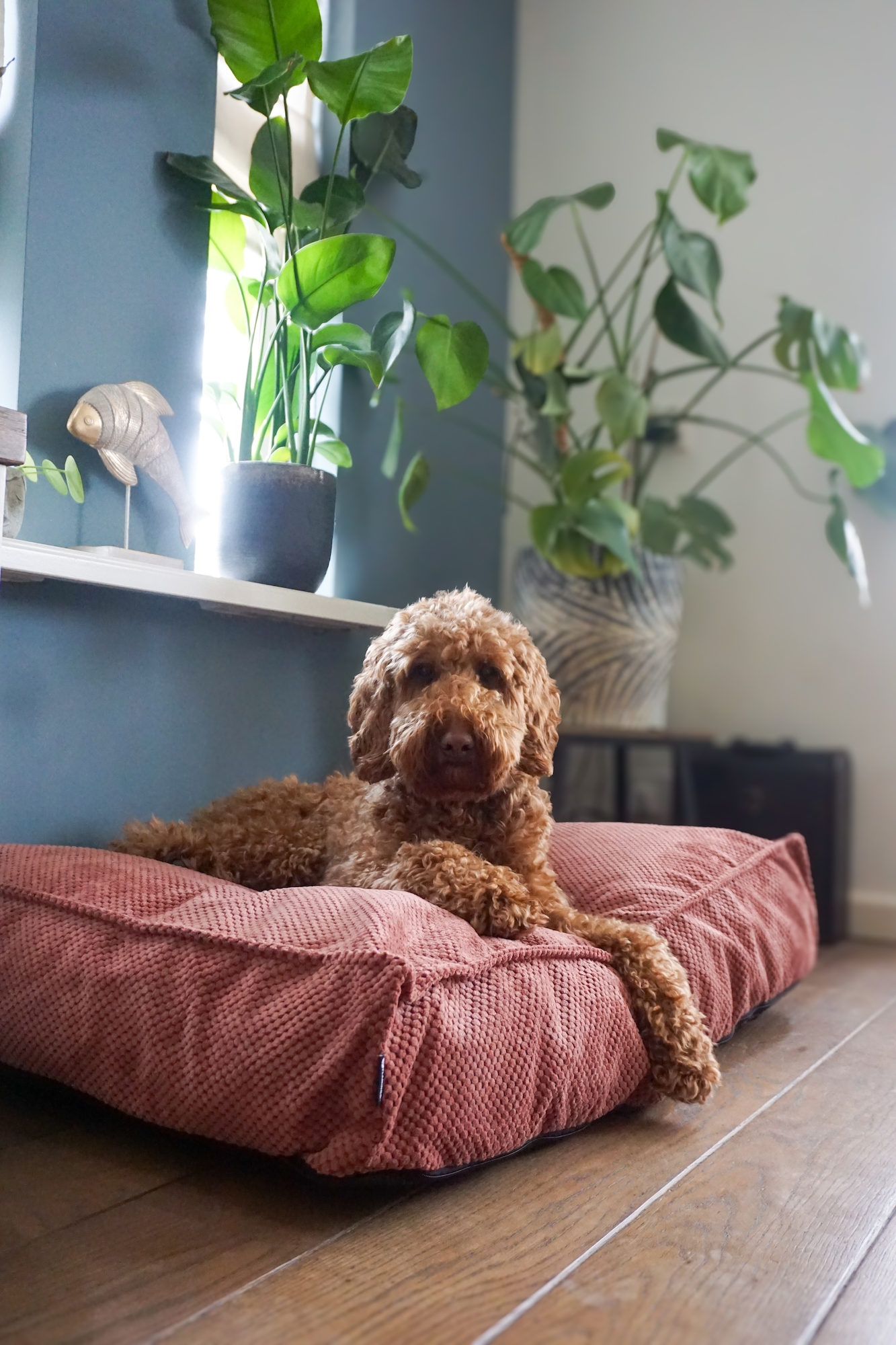 Flamingo Kussen Reno Rechthoekig Zalmroze