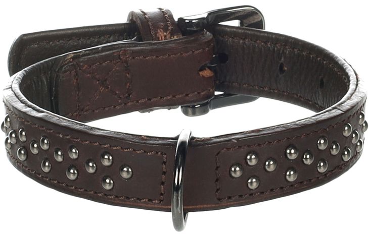 Flamingo Collar with studs Denver Brown