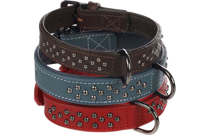 Flamingo Collar with studs Denver Brown