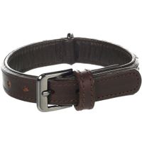 Flamingo Collar with studs Denver Brown
