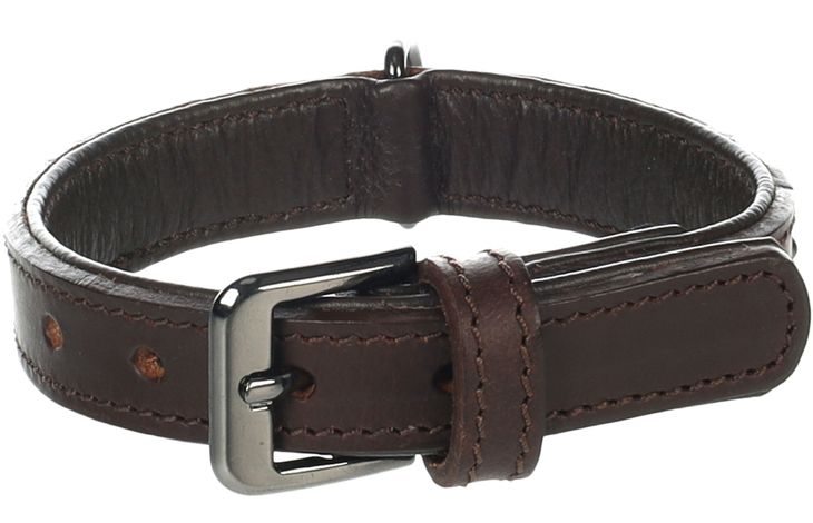 Flamingo Collar with studs Denver Brown