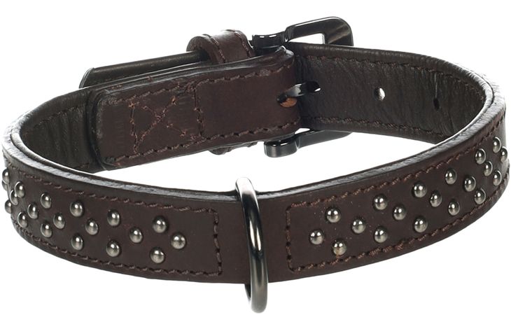 Flamingo Collar with studs Denver Brown