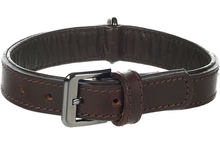 Flamingo Collar with studs Denver Brown