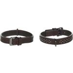 Halsband met sierbeslag Denver Bruin