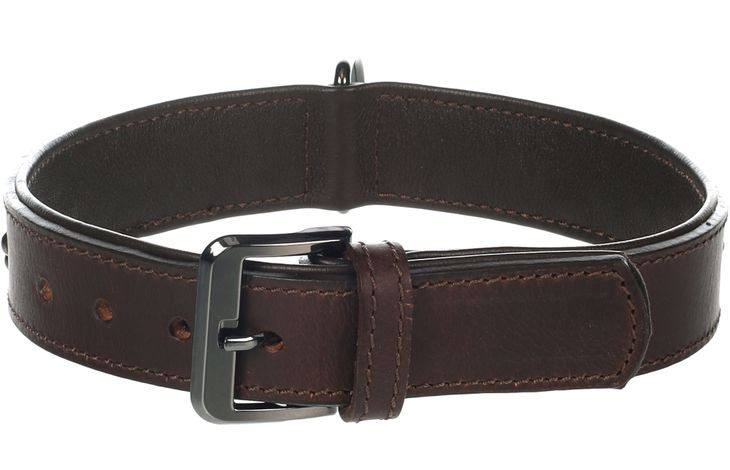 Flamingo Collar with studs Denver Brown