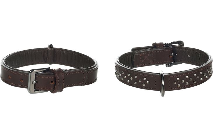 Flamingo Collar with studs Denver Brown