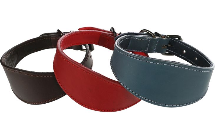 Flamingo Halsband Windhond Denver Bruin