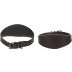 Halsband Windhond Denver Bruin