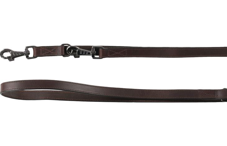 Flamingo Training leash Denver Brown