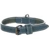 Halsband Denver Blauw