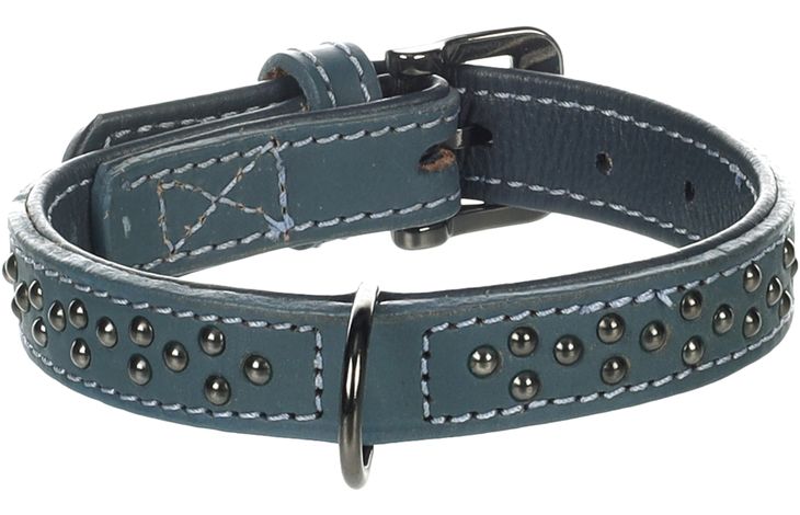 Flamingo Collar with studs Denver Blue