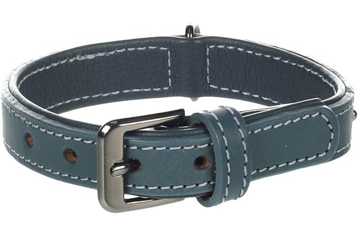 Flamingo Collar with studs Denver Blue