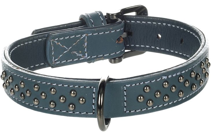 Flamingo Collier avec clous Denver Bleu