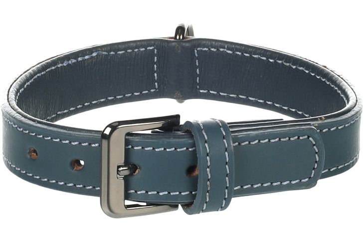 Flamingo Collier avec clous Denver Bleu