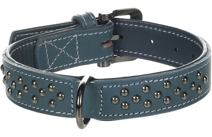 Flamingo Halsband met sierbeslag Denver Blauw