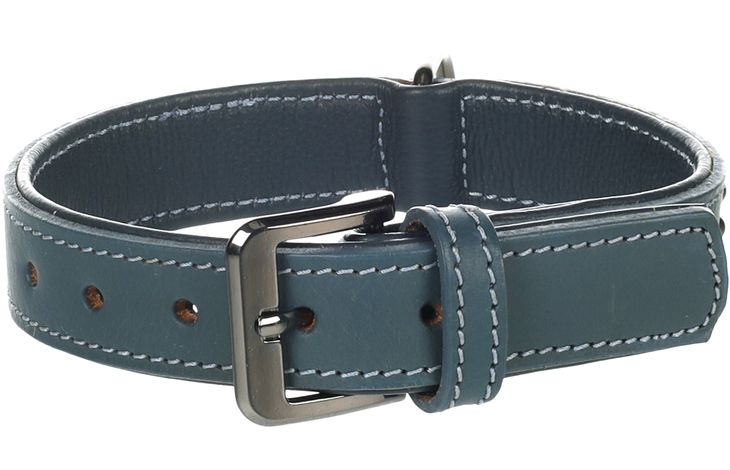 Flamingo Halsband met sierbeslag Denver Blauw