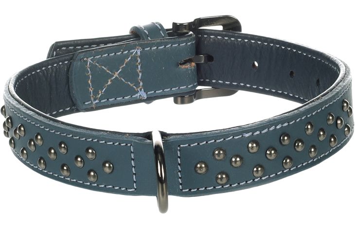 Flamingo Halsband met sierbeslag Denver Blauw