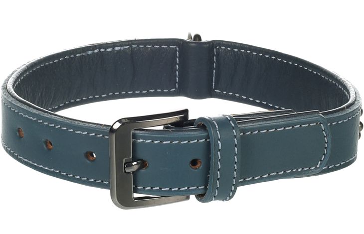 Flamingo Halsband met sierbeslag Denver Blauw