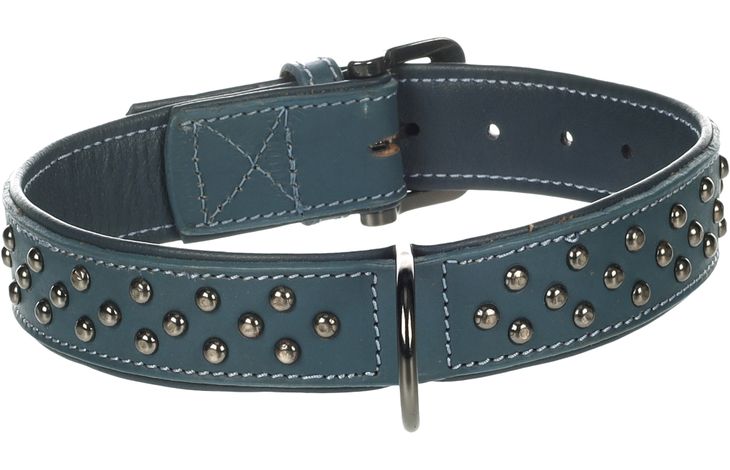 Flamingo Halsband met sierbeslag Denver Blauw