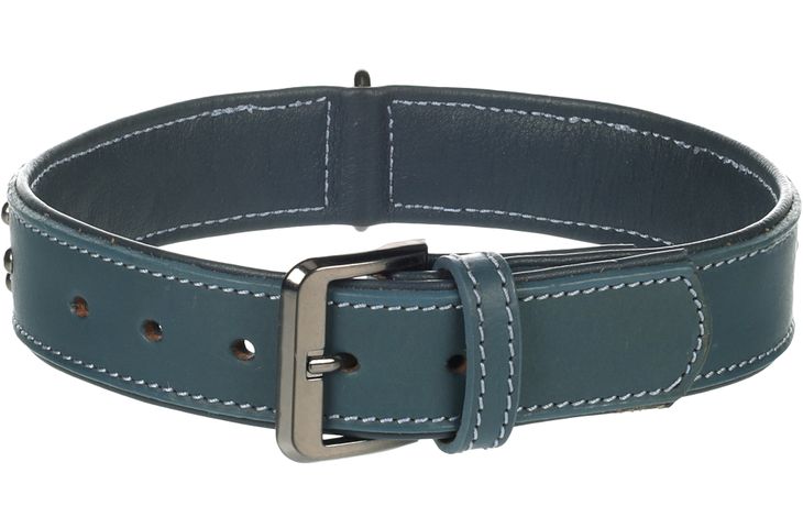 Flamingo Halsband met sierbeslag Denver Blauw