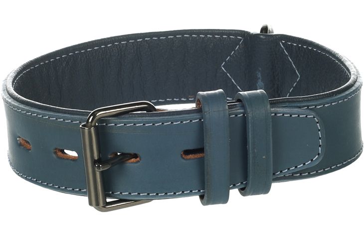 Flamingo Collar Padded Wide Denver Blue