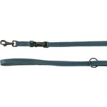 Training leash Denver Blue