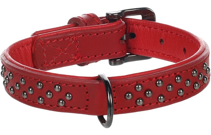 Flamingo Collar with studs Denver Red