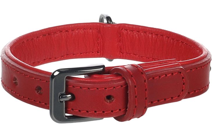 Flamingo Collar with studs Denver Red