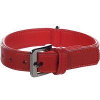 Flamingo Collier avec clous Denver Rouge