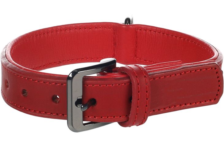 Flamingo Collier avec clous Denver Rouge