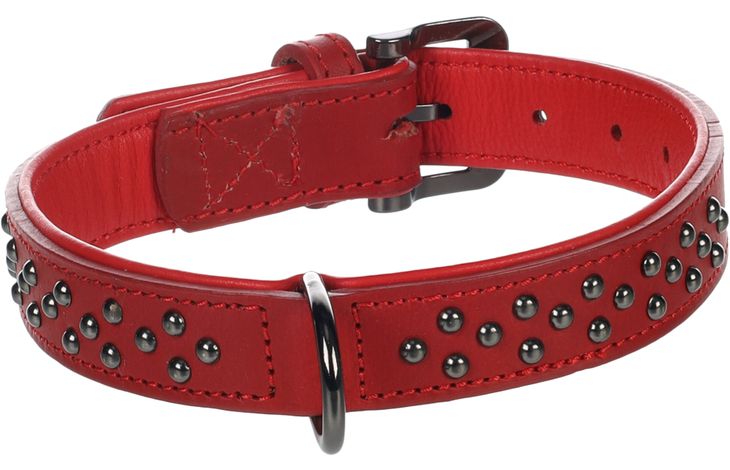 Flamingo Collar with studs Denver Red