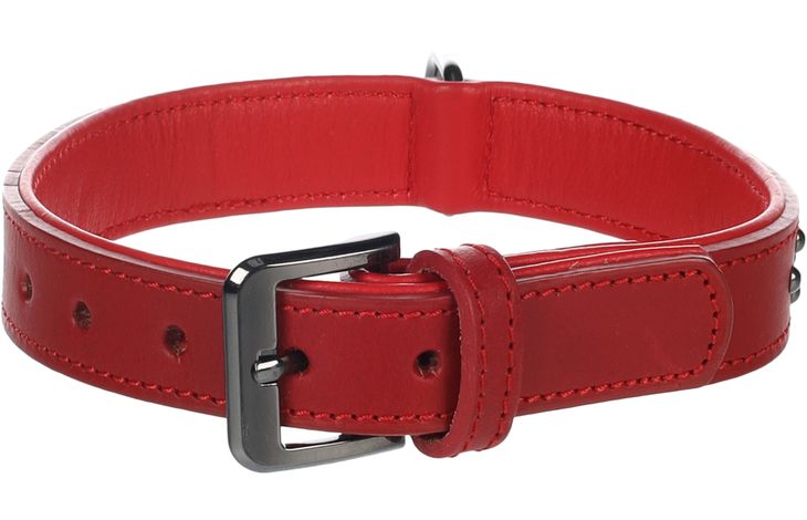 Flamingo Collar with studs Denver Red
