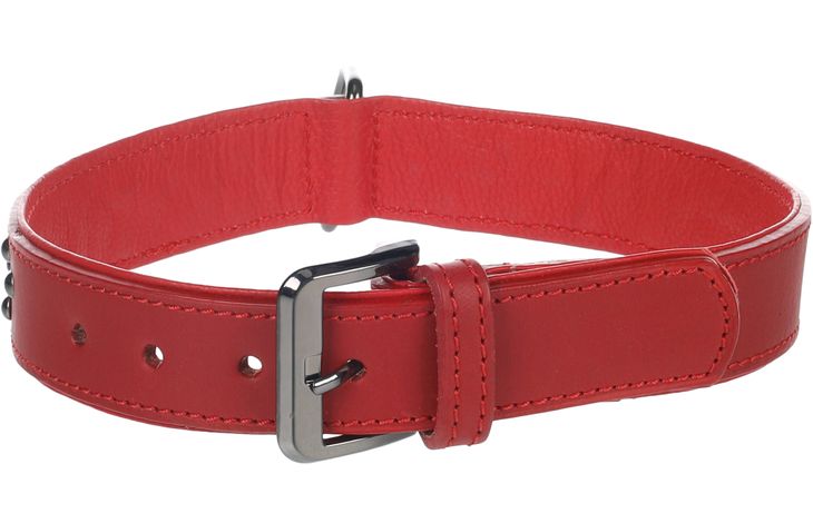 Flamingo Halsband mit Nieten Denver Rot