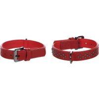 Flamingo Halsband mit Nieten Denver Rot