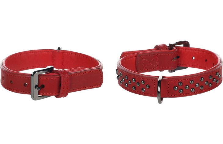 Flamingo Halsband mit Nieten Denver Rot