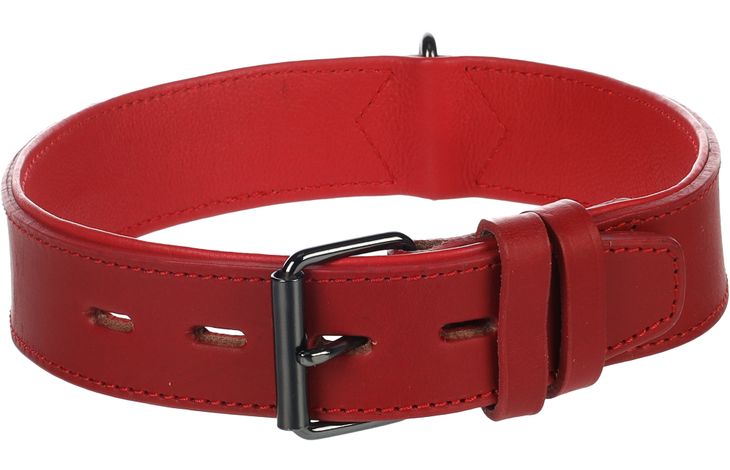 Flamingo Collar Padded Wide Denver Red